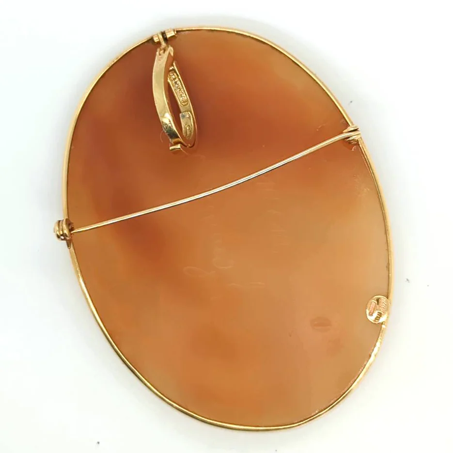 Cameo White Lds Head On Brown Background 14Kt Yg - Image 3